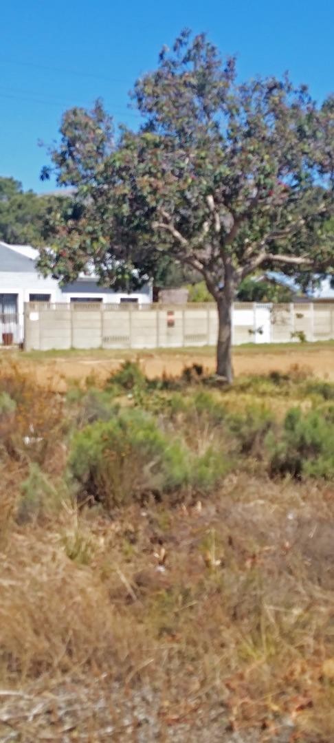 0 Bedroom Property for Sale in Fisherhaven Western Cape